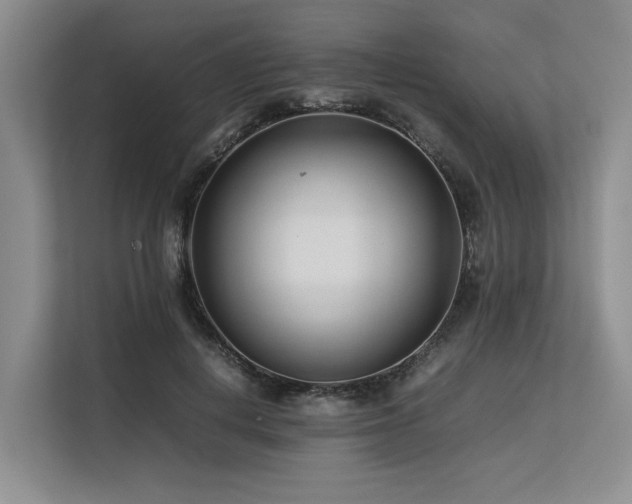 X0000113560648200909181220