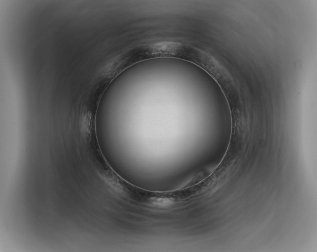 X0000113560649200909181220