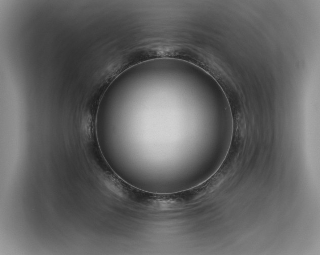 X0000113560650200909181220