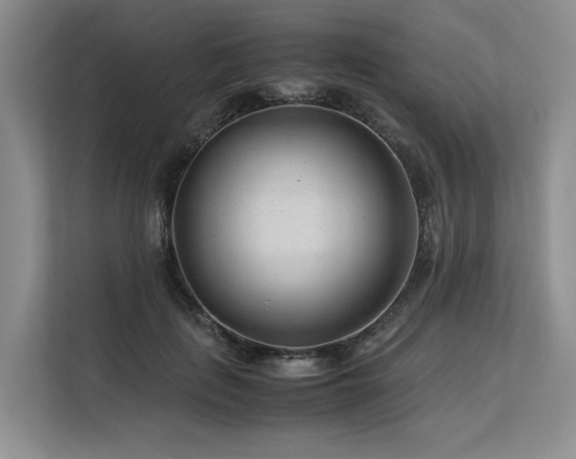 X0000113560651200909181220