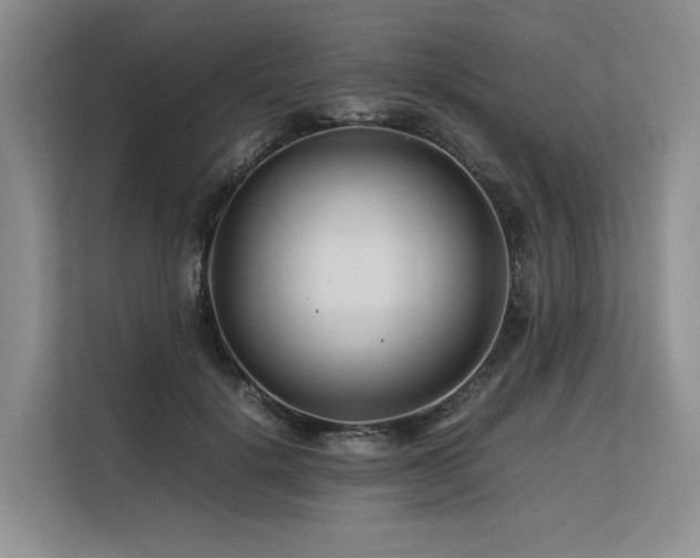 X0000113560652200909181220