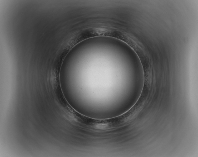X0000113560653200909181220