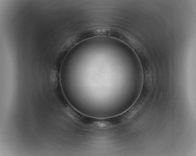 X0000113560654200909181220