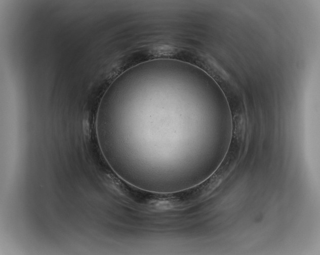 X0000113560655200909181220