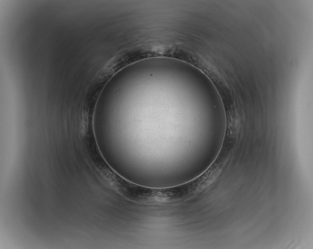 X0000113560656200909181220