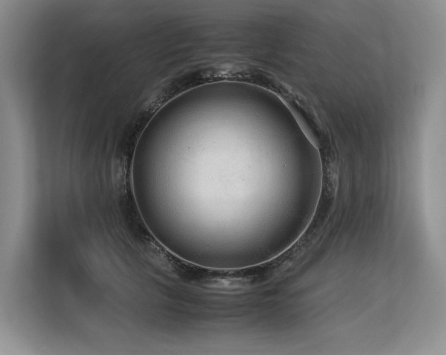 X0000113560657200909181220