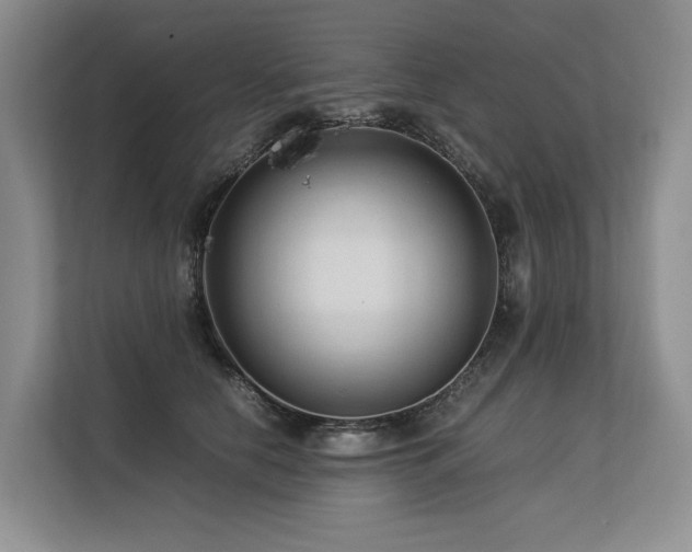 X0000113560658200909181220