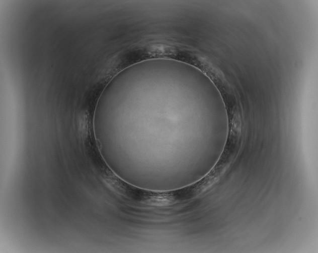 X0000113560659200909181220