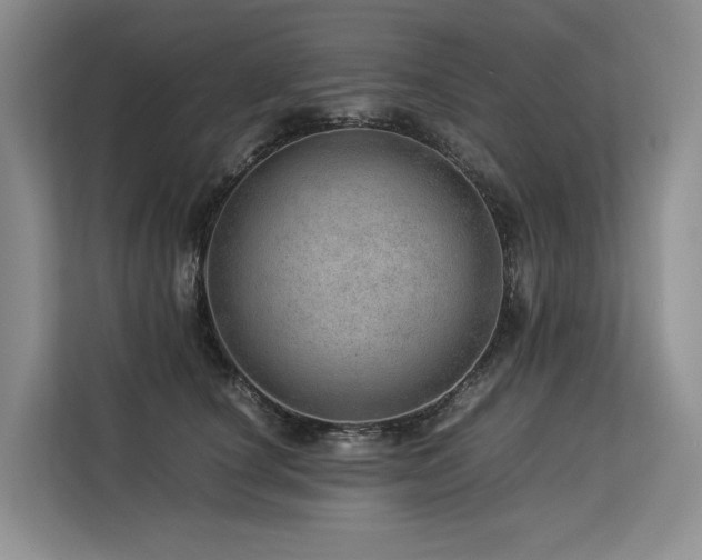 X0000113560660200909181220