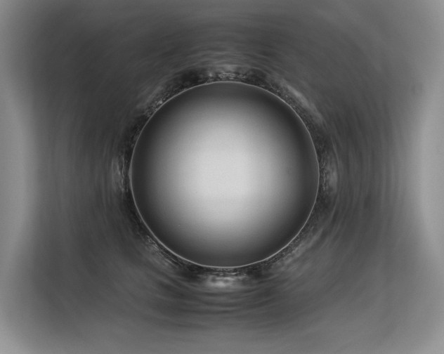 X0000113560661200909181220