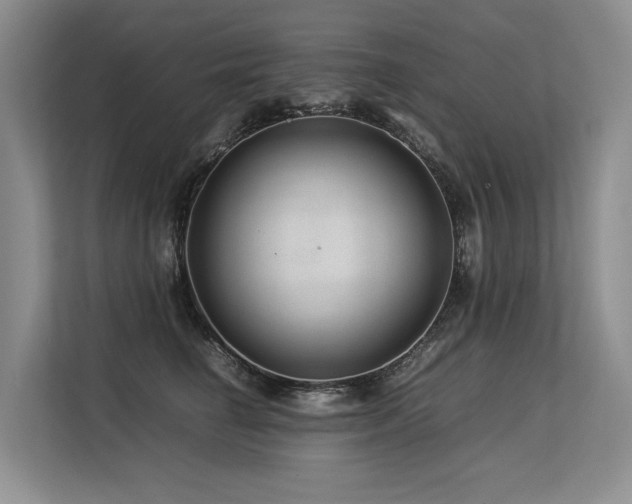 X0000113560662200909181220