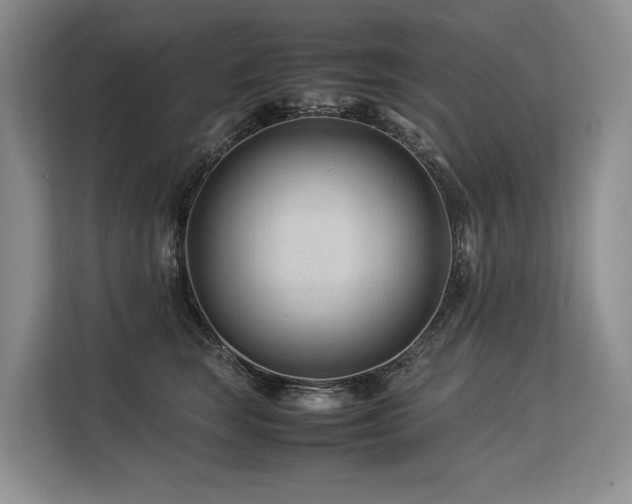 X0000113560663200909181220