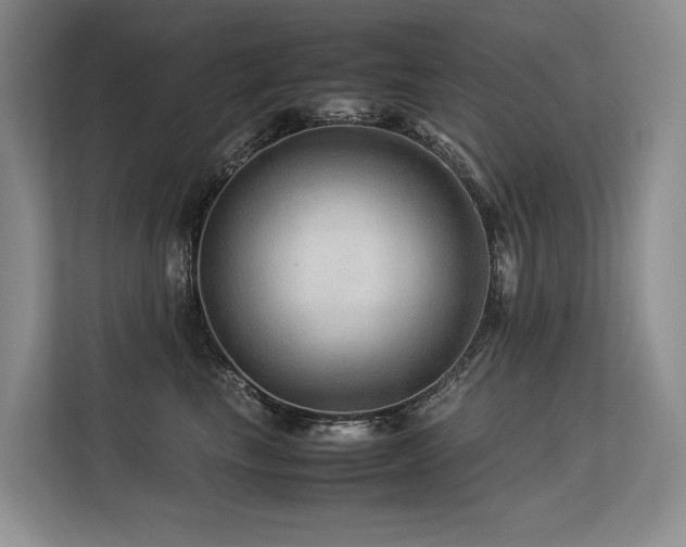 X0000113560665200909181220