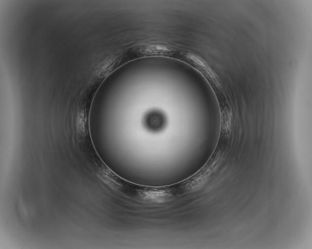 X0000113560669200909181221