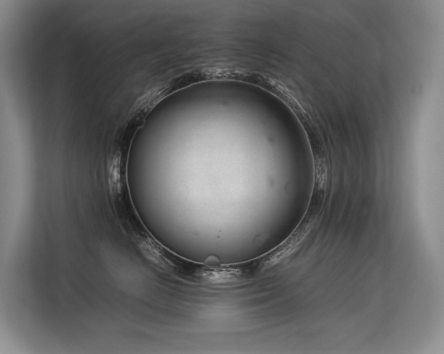 X0000113560670200909181221