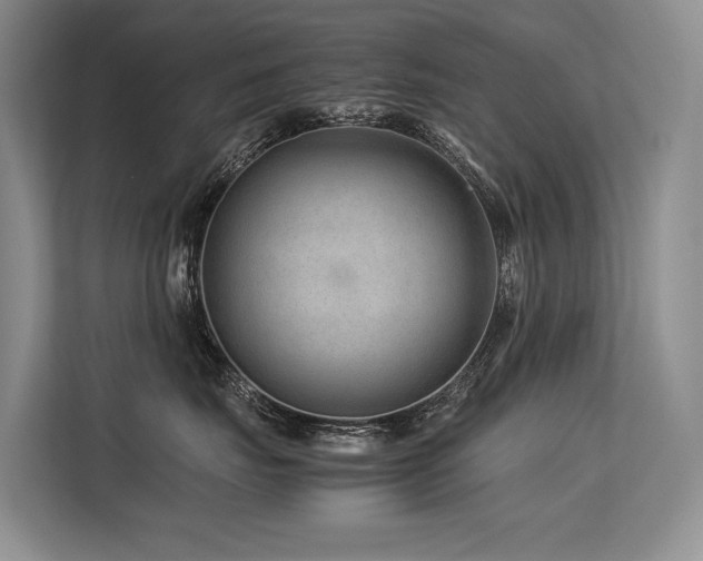 X0000113560671200909181221