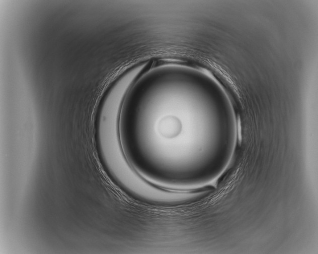 X0000113560673200909181220