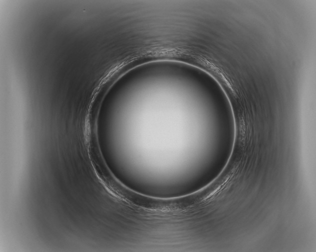 X0000113560674200909181220