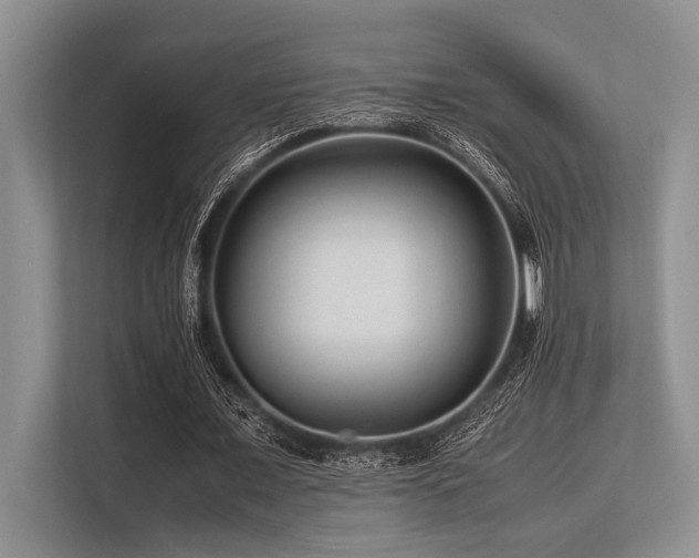 X0000113560675200909181220