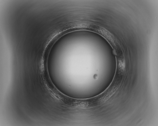 X0000113560676200909181220