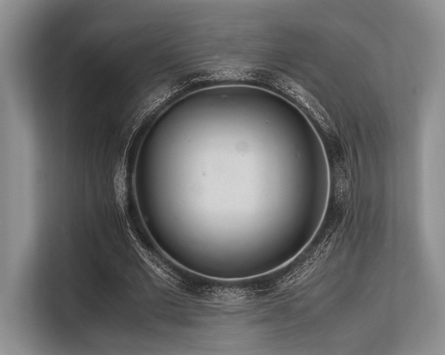 X0000113560677200909181220