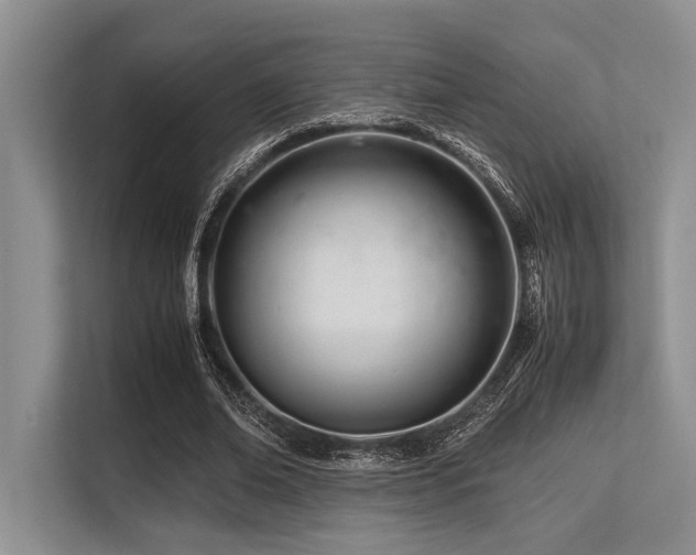 X0000113560678200909181220