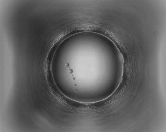 X0000113560679200909181220