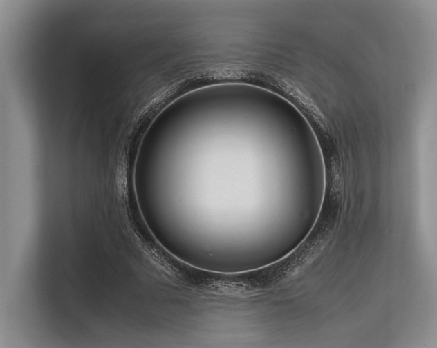 X0000113560681200909181220