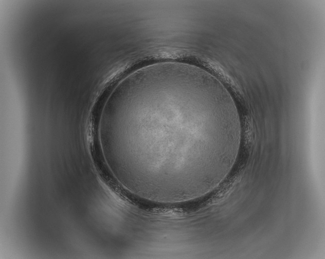 X0000113560683200909181220