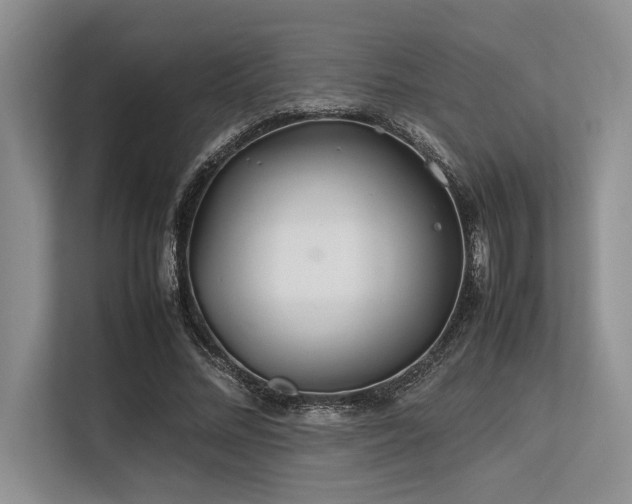 X0000113560684200909181220