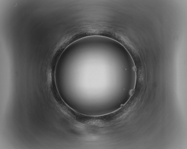 X0000113560685200909181220