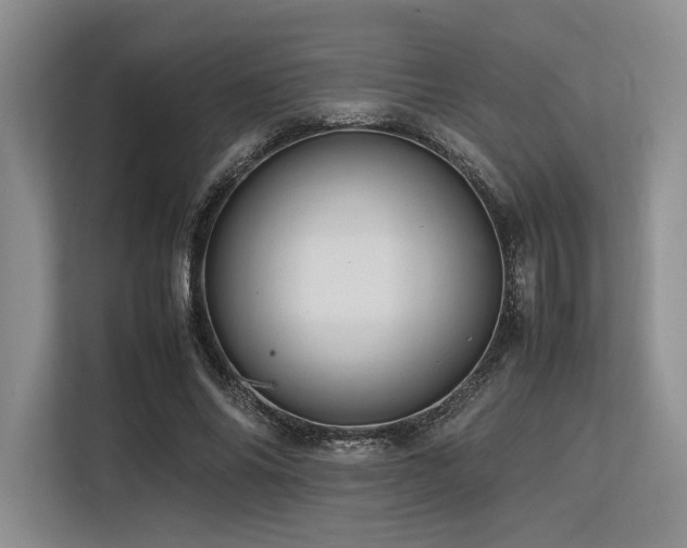 X0000113560686200909181220