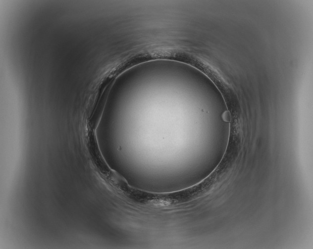X0000113560687200909181220