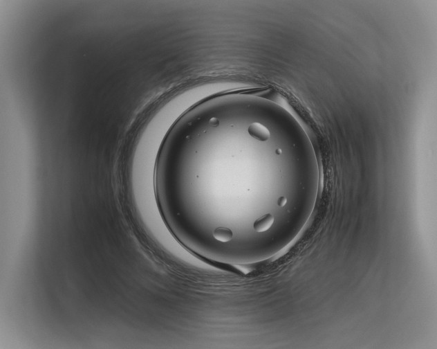 X0000113560688200909181220