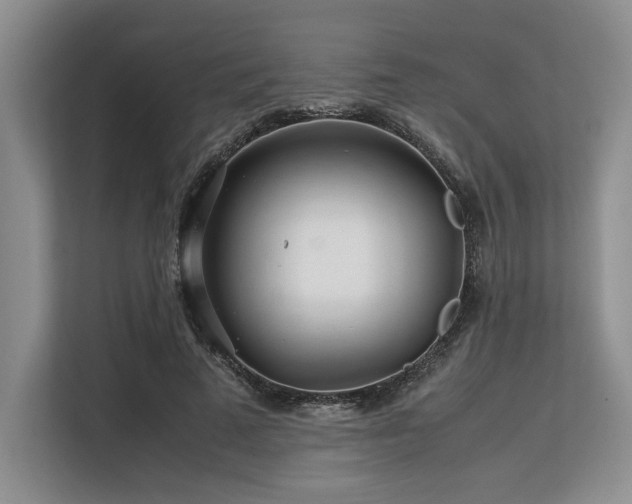 X0000113560689200909181220