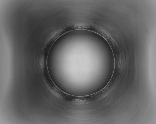 X0000113560690200909181220