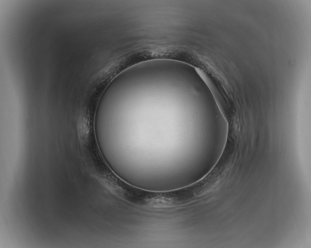 X0000113560691200909181220