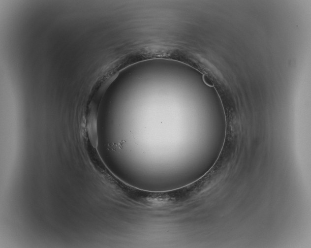 X0000113560693200909181220