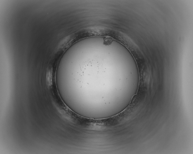 X0000113560694200909181220
