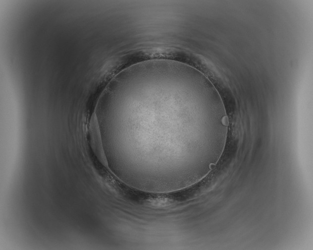 X0000113560695200909181220