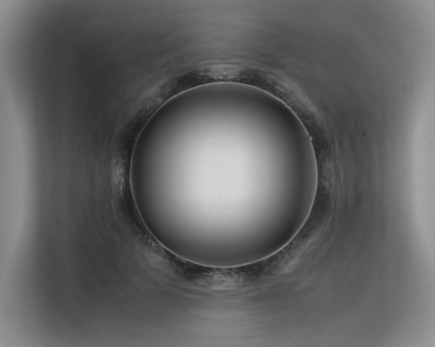 X0000113560697200909181220
