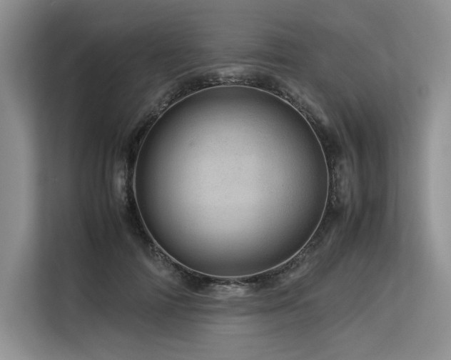 X0000113560698200909181220
