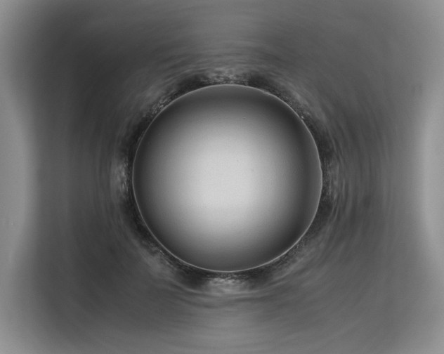X0000113560699200909181220
