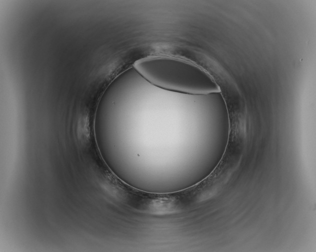 X0000113560700200909181220