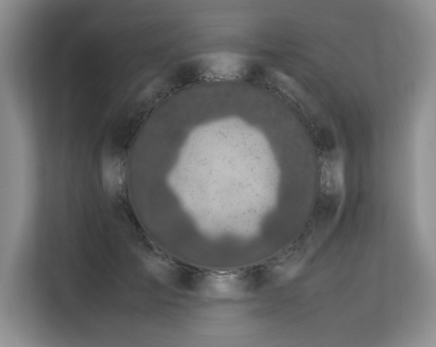 X0000113560701200909181220