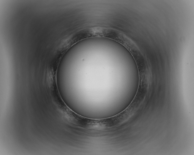 X0000113560702200909181220