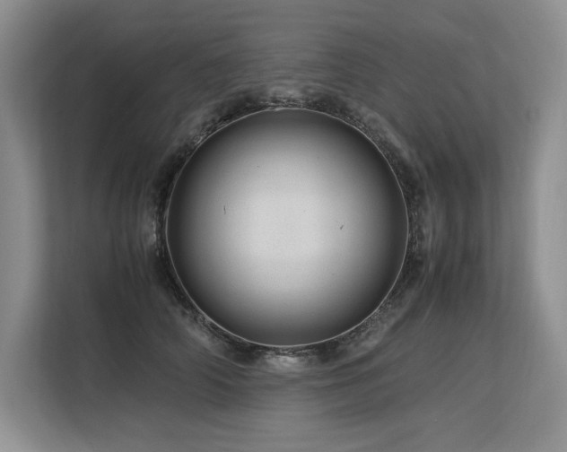 X0000113560706200909181220