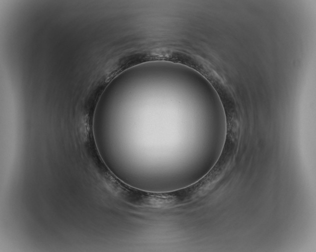 X0000113560707200909181219