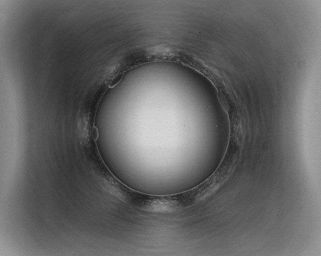 X0000113560708200909181219