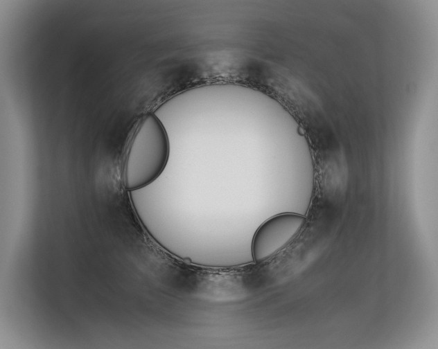 X0000113560709200909181219